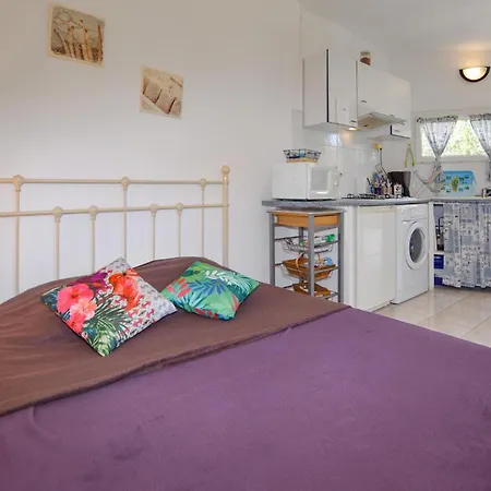 Awesome In Semesterbostad Oletta (Corsica)