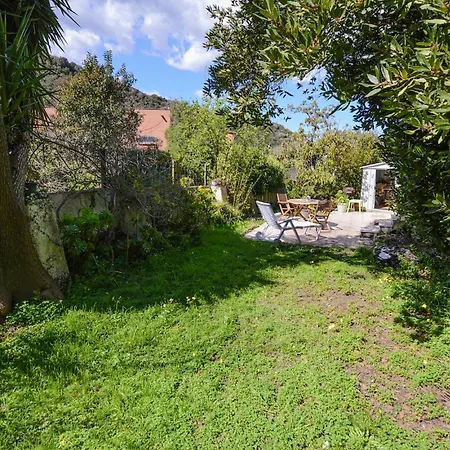 Gorgeous In Prázdninový dům Oletta (Corsica)